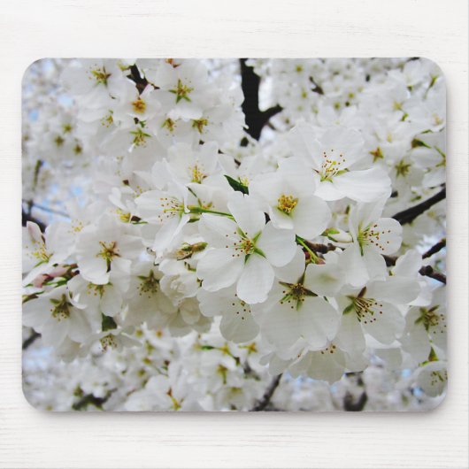 桜3のマウスパッド マウスパッド (正面)