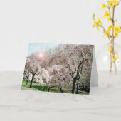 桜 カード (黄色い花)