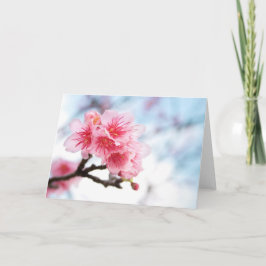 桜 カード