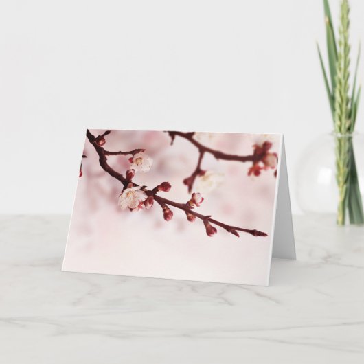 桜 カード (正面)