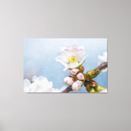 桜 キャンバスプリント