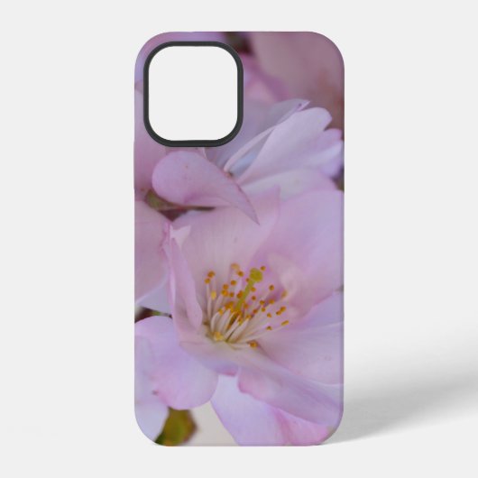 桜 ギフトボックス Case-Mate iPhoneケース iPhone 12ケース (裏面)
