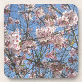 桜 コースター (正面)