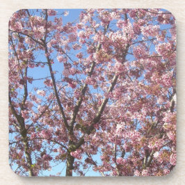 桜 コースター