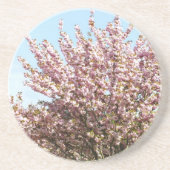 桜 コースター (正面)