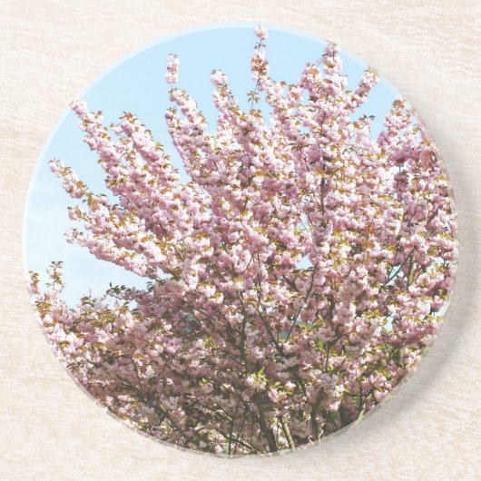 桜 コースター (正面)