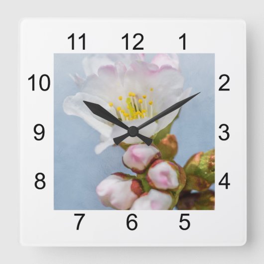 桜 スクエア壁時計 (正面)