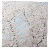桜 タイル (正面)