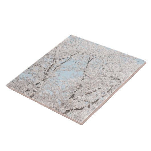 桜 タイル (側面)