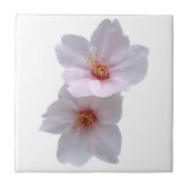 桜 タイル (正面)