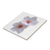 桜 タイル (側面)