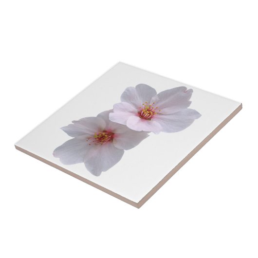 桜 タイル (側面)