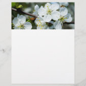 桜 チラシ (正面)