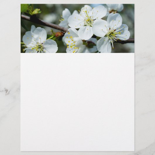 桜 チラシ (正面)