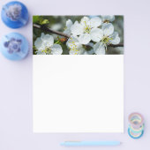 桜 チラシ (シングル)