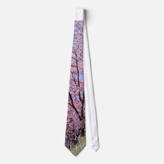 桜 ネクタイ (正面)