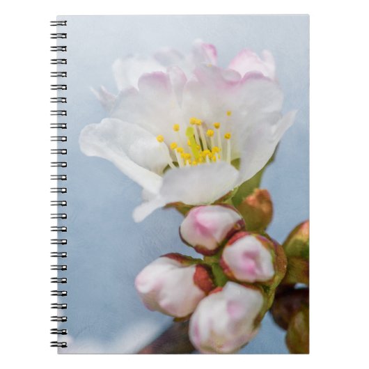 桜 ノートブック (正面)