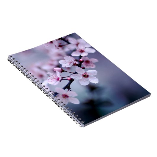 桜 ノートブック (右側)
