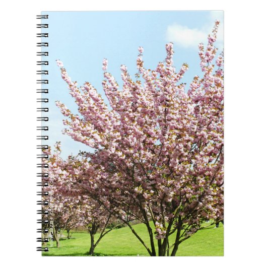 桜 ノートブック (正面)