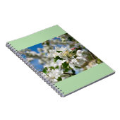 桜 ノートブック (右側)