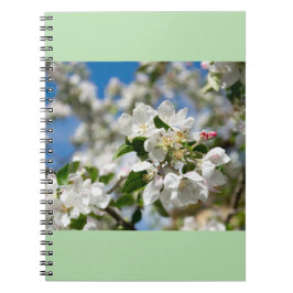 桜 ノートブック