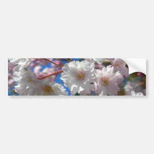 桜 バンパーステッカー