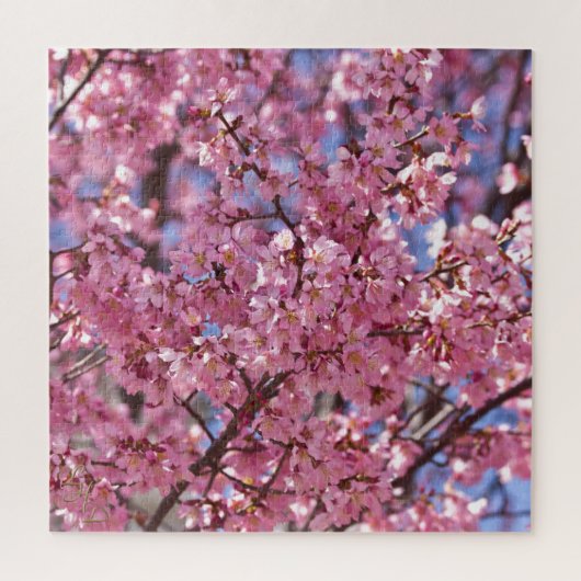 桜 ピンク 桜 空 ジグソーパズル (縦)