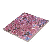 桜 ピンク 桜 空 タイル (側面)