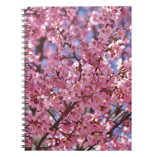 桜 ピンク 桜 空 ノートブック (正面)