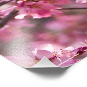 桜 ピンク 桜 空 フォトプリント (角)