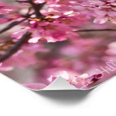 桜 ピンク 桜 空 ポスター (コーナー)