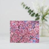 桜 ピンク 桜 空 ポストカード (スタンド正面)