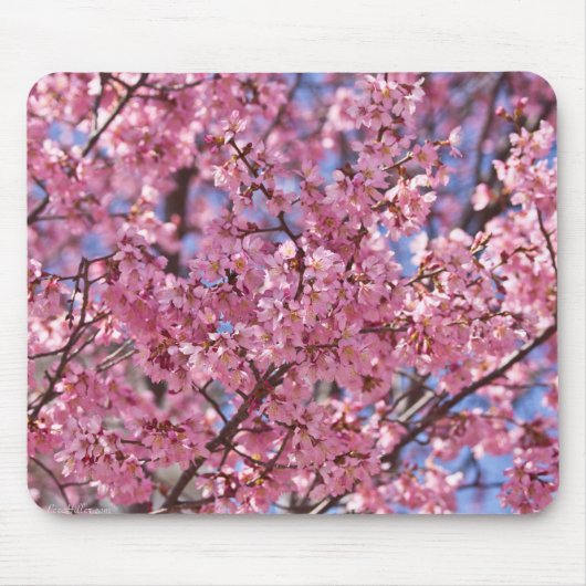 桜 ピンク 桜 空 マウスパッド (正面)