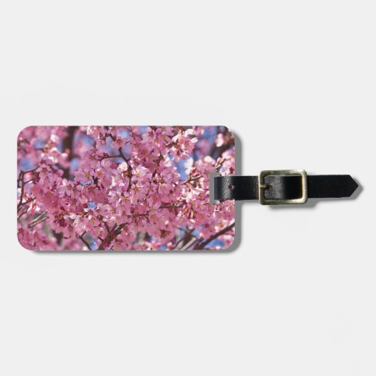 桜 ピンク 桜 空 ラゲッジタグ (正面横)
