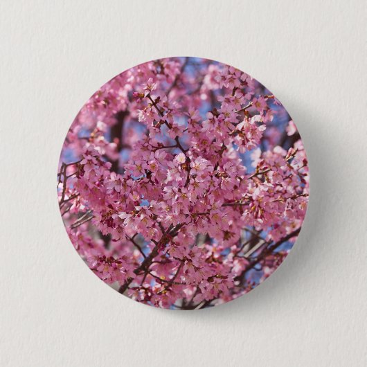 桜 ピンク 桜 空 缶バッジ (正面)