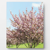 桜 フォトプラーク (正面)