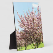 桜 フォトプラーク (側面)