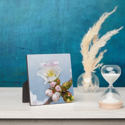 桜 フォトプラーク (インサイチュ)