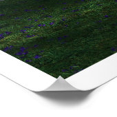 桜 ポスター (角)