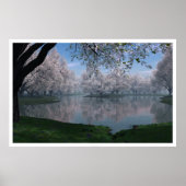 桜 ポスター (正面)