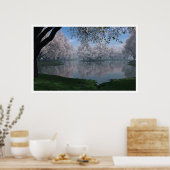 桜 ポスター (キッチン)