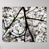 桜 ポスター (正面)