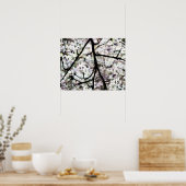 桜 ポスター (キッチン)