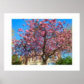 桜 ポスター (正面)