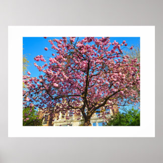 桜 ポスター