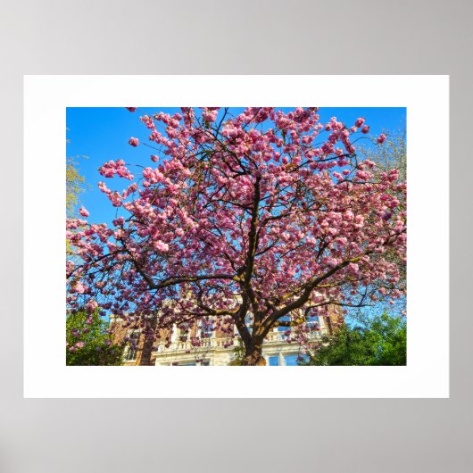 桜 ポスター (正面)