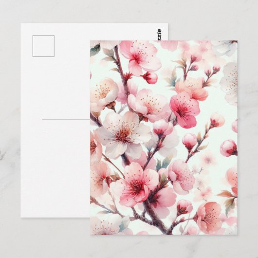 桜 ポストカード (正面/裏面)