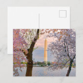 桜 ポストカード (正面/裏面)