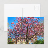 桜 ポストカード (正面/裏面)