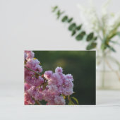 桜 ポストカード (スタンド正面)